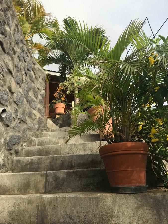 Villa Moai 974 Сен-Лу Екстериор снимка